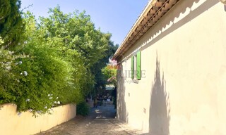 Photo N° 3
