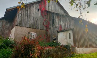 Photo N° 5