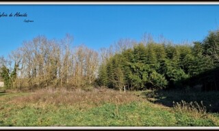 Photo N° 5