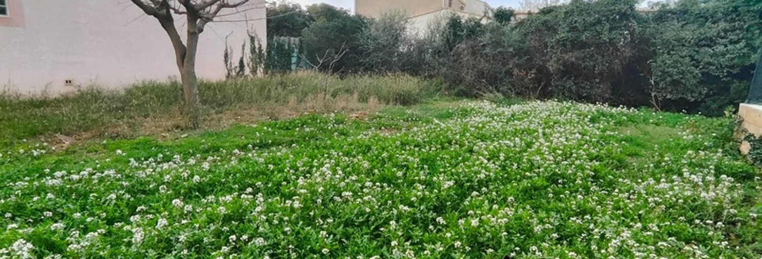 Terrain  363 m² à vendre à Frontignan (34110)