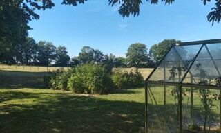 Photo N° 14