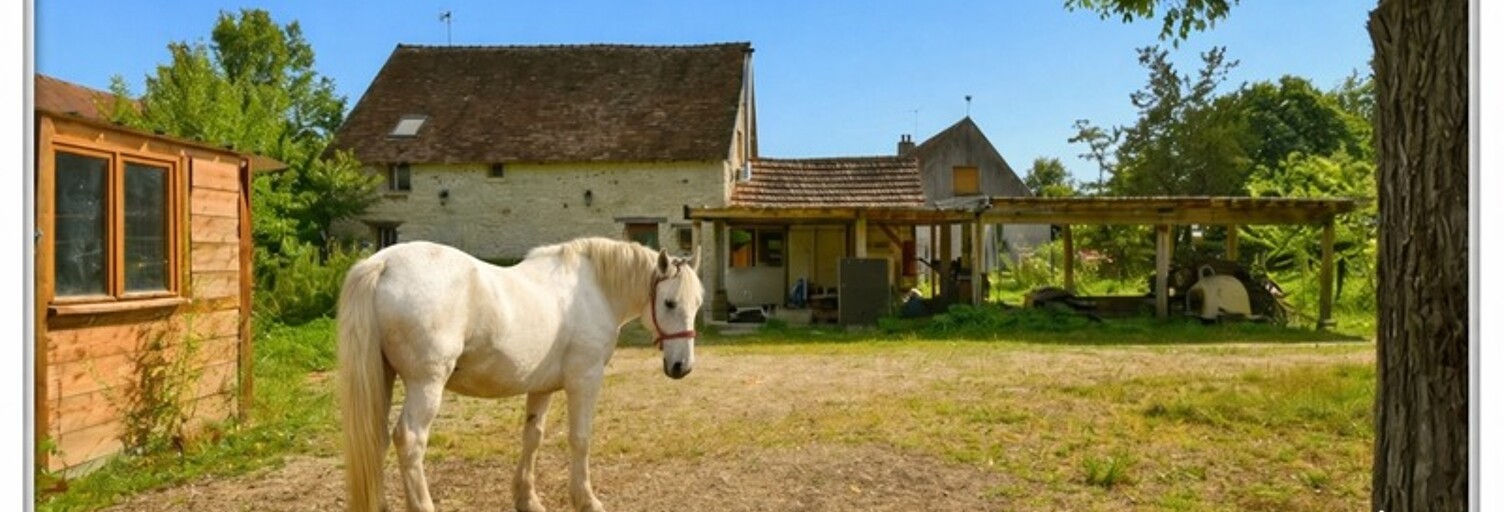Maison 8 Pièces 118 m² à vendre à Touchay (18160)