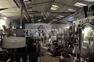 Local industriel  912000 €