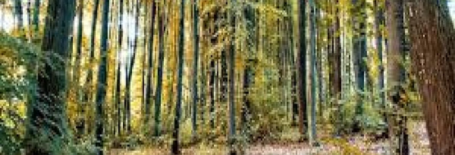 Terrain  3346 m² à vendre à Gouvieux (60270)