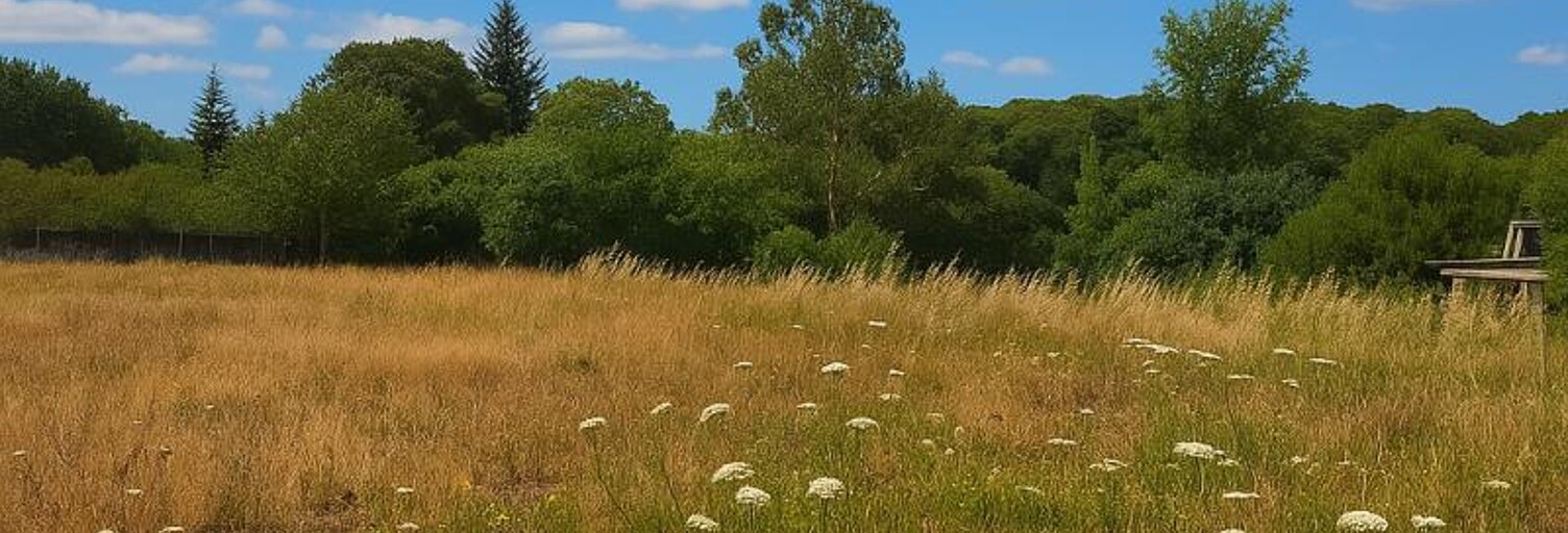 Terrain  942 m² à vendre à Campénéac (56800)