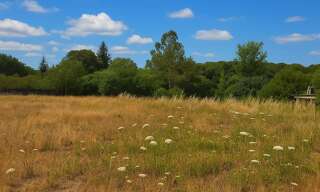 Terrain  942 m² à vendre à Campénéac (56800)