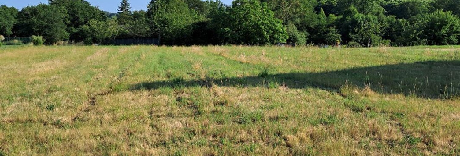 Terrain  1923 m² à vendre à Campénéac (56800)