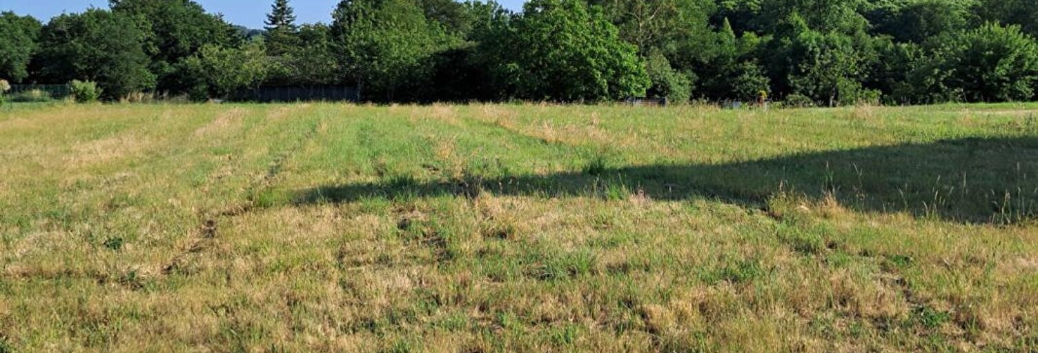 Terrain  1923 m² à vendre à Campénéac (56800)