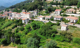 Terrain  2008 m² à vendre à Sainte-Lucie-de-Tallano (20112)