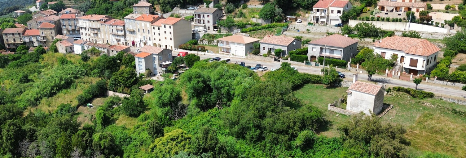 Terrain  2008 m² à vendre à Sainte-Lucie-de-Tallano (20112)