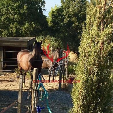 Maison 5 pièces 965000 €