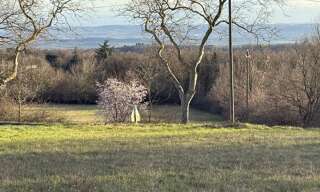 Terrain  1902 m² à vendre à Labécède-Lauragais (11400)