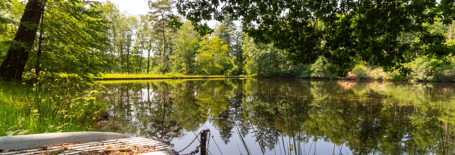 Terrain  39973 m² à vendre à Champnétery (87400)