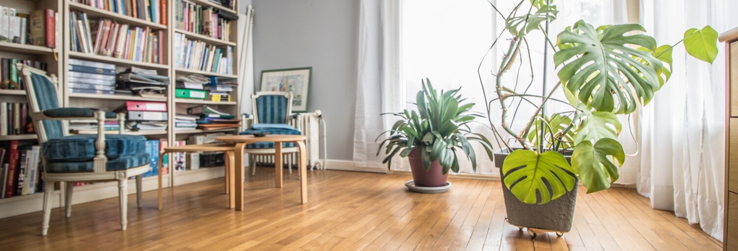 Maison 8 Pièces 202 m² à vendre à Montayral (47500)