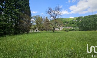 Photo N° 6