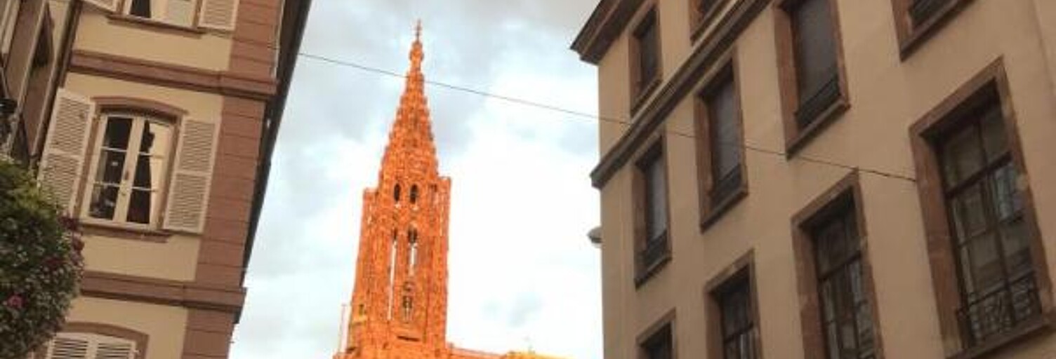 Appartement 1 Pièce 15 m² à louer à Strasbourg (67000)