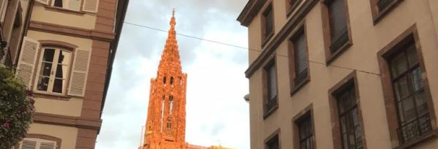 Appartement 1 Pièce 15 m² à louer à Strasbourg (67000)