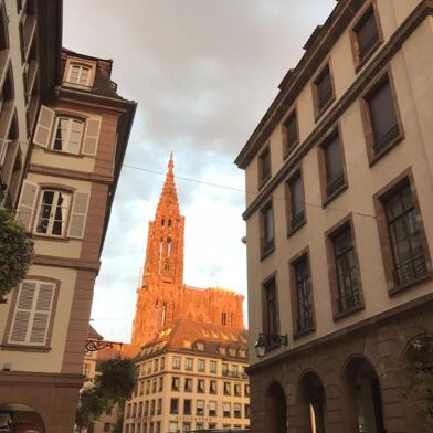 Appartement 1 pièces 550 €