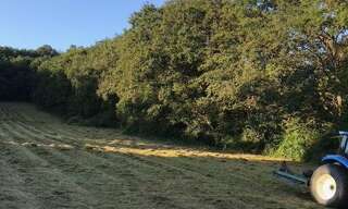 Terrain  5990 m² à vendre à Arquian (58310)