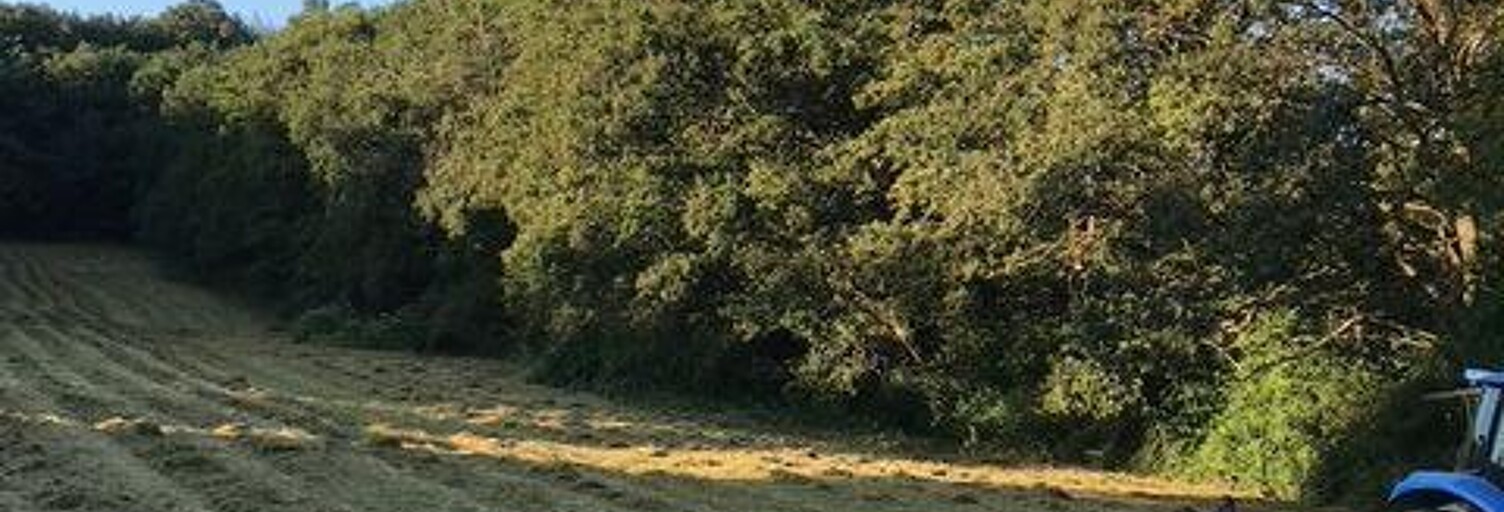 Terrain  5990 m² à vendre à Arquian (58310)