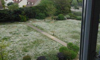 Photo N° 6