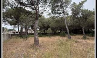 Terrain  1001 m² à vendre à Agde (34300)