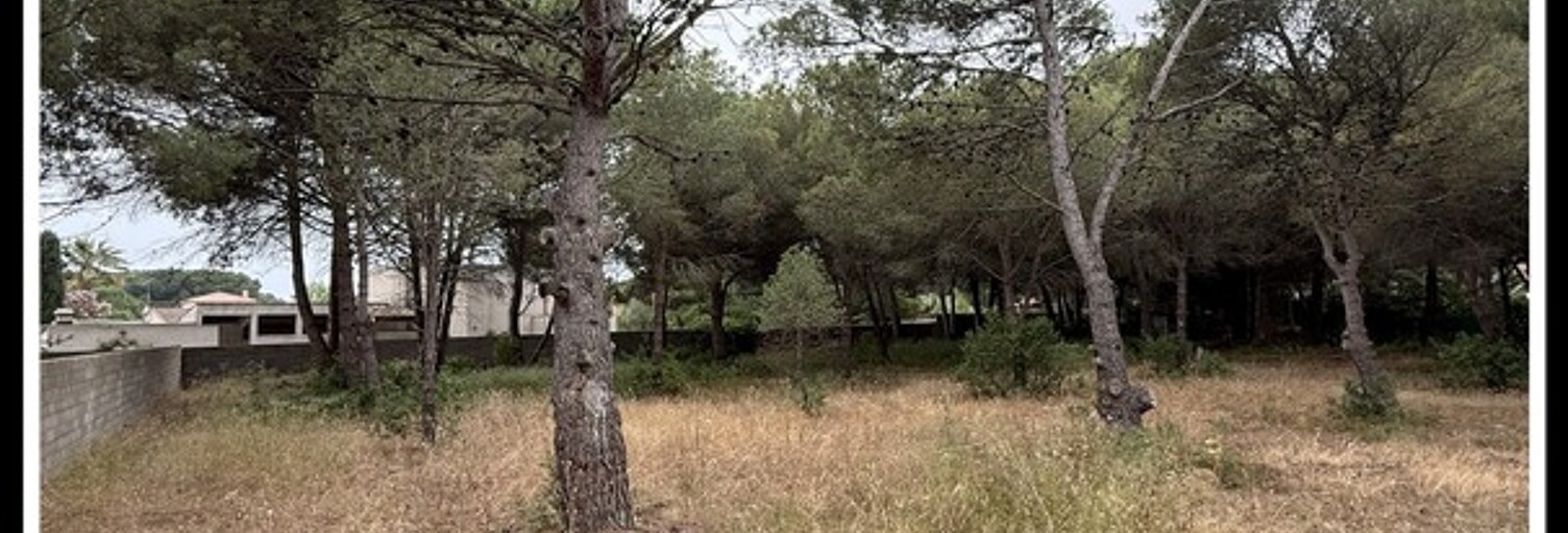 Terrain  1001 m² à vendre à Agde (34300)