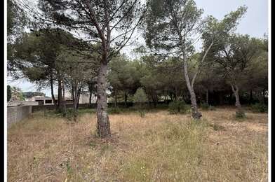 Terrain  425000 €