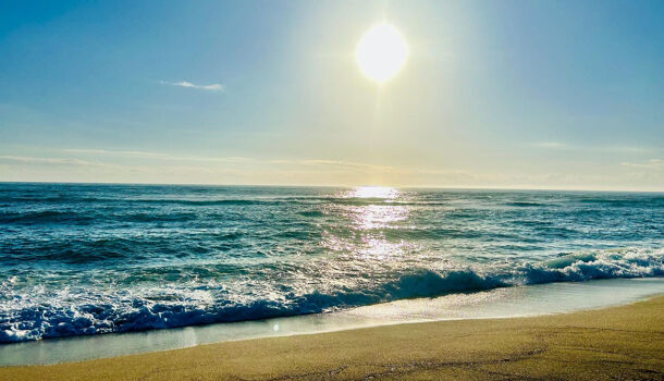 Villa / Maison 3 pièces  à louer Barcarès (Le) 66420