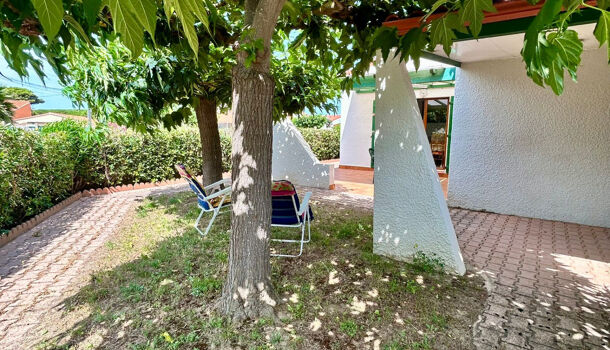 Villa / Maison 3 pièces  à louer Barcarès (Le) 66420