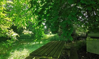 Photo N° 7