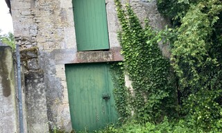 Photo N° 8