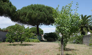 Photo N° 3