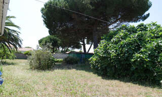 Photo N° 4