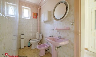 Photo N° 6