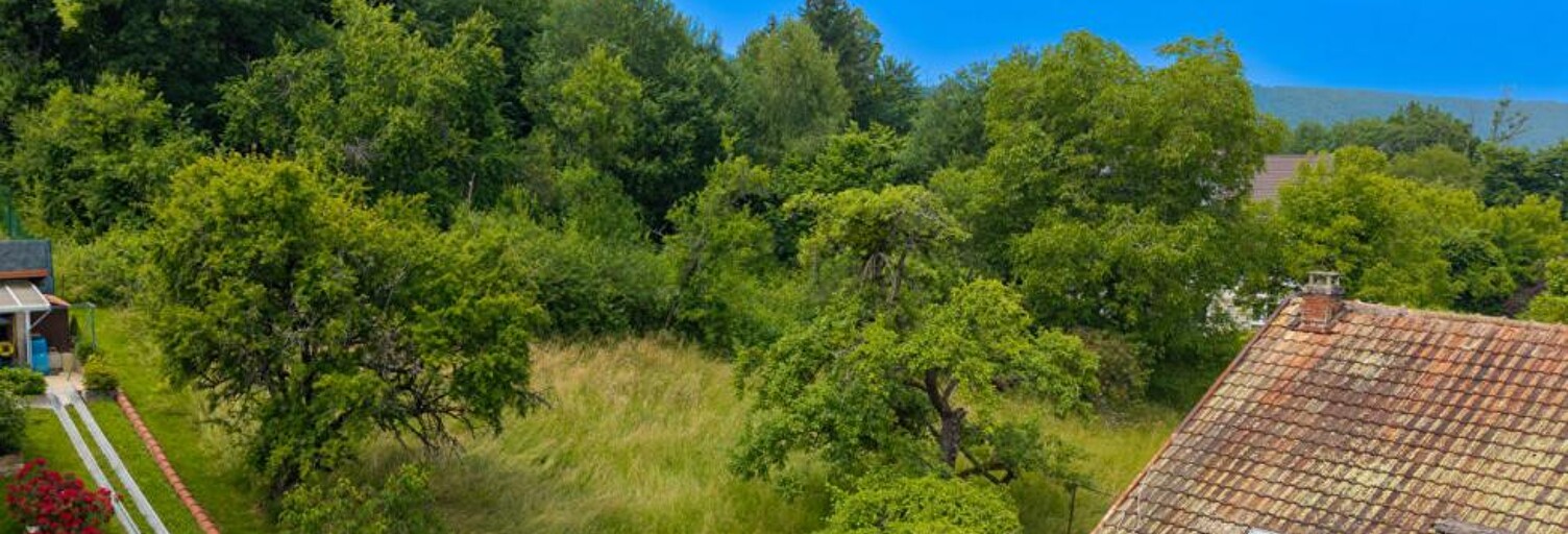 Maison 11 Pièces 270 m² à vendre à Pont-de-Roide-Vermondans (25150)