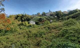 Photo N° 4