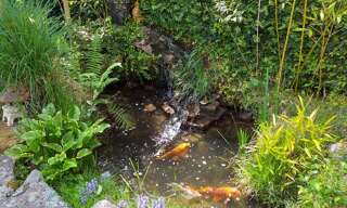 Appartement 1 Pièce 10 m² à louer à Bayonne (64100)