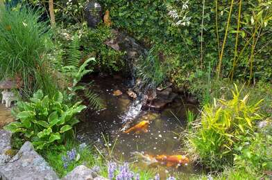 Appartement 1 pièces 600 €