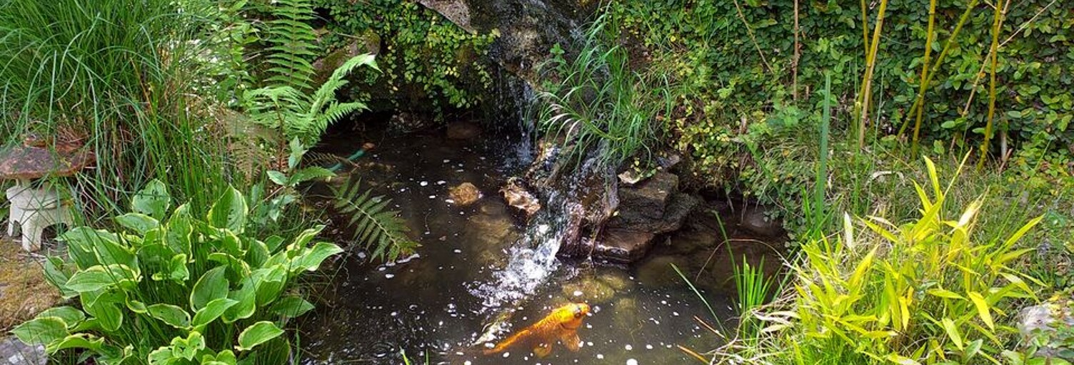 Appartement 1 Pièce 10 m² à louer à Bayonne (64100)