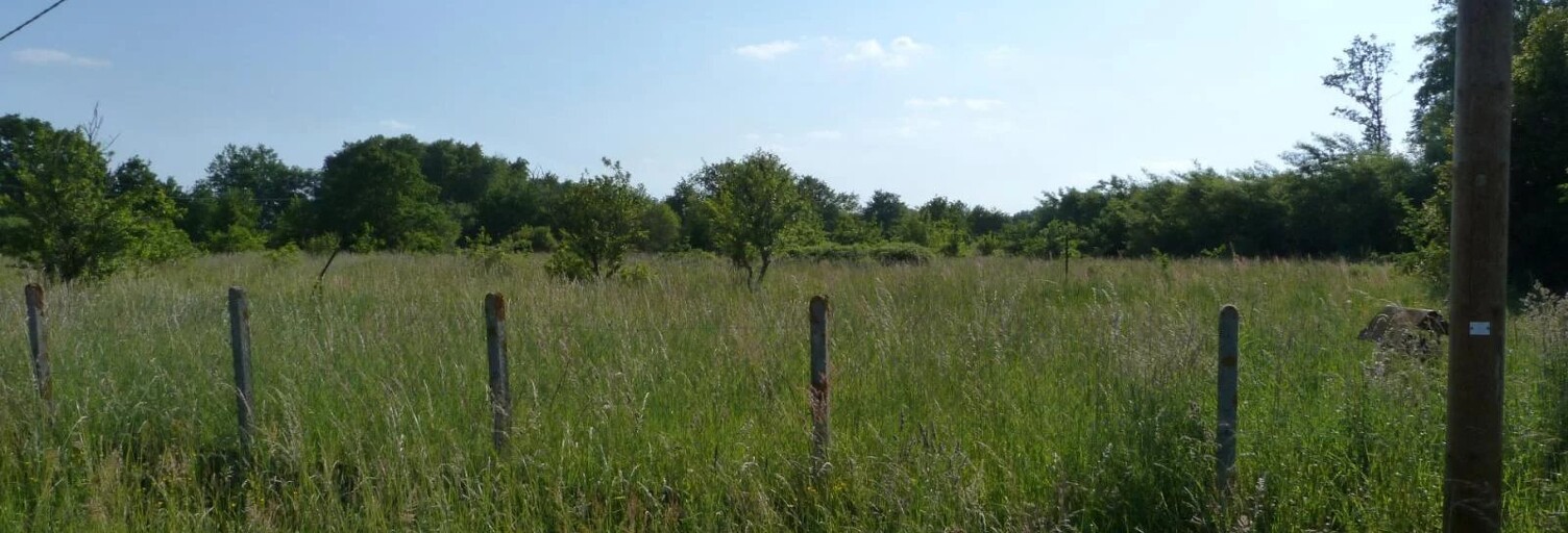 Terrain  11460 m² à vendre à Méry-sur-Cher (18100)