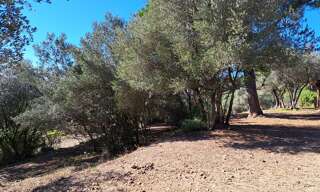 Terrain 1434 m² à construire Fayence (83440)