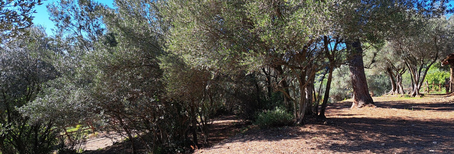 Terrain 1434 m² à construire Fayence (83440)