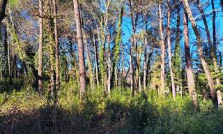 Terrain 2000 m² à construire Tourrettes (83440)