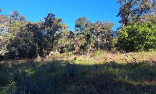 Terrain 1726 m² à construire Saint-Raphaël (83530)