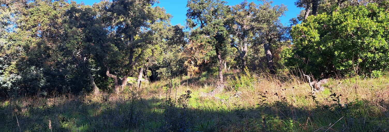 Terrain 1726 m² à construire Saint-Raphaël (83530)