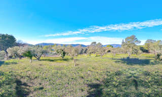 Terrain 1767 m² à construire Bagnols-en-Forêt (83600)