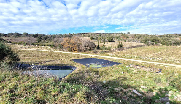 Propri&eacute;t&eacute; 6 pièces  à vendre Bélesta 66720