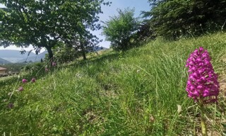 Photo N° 3