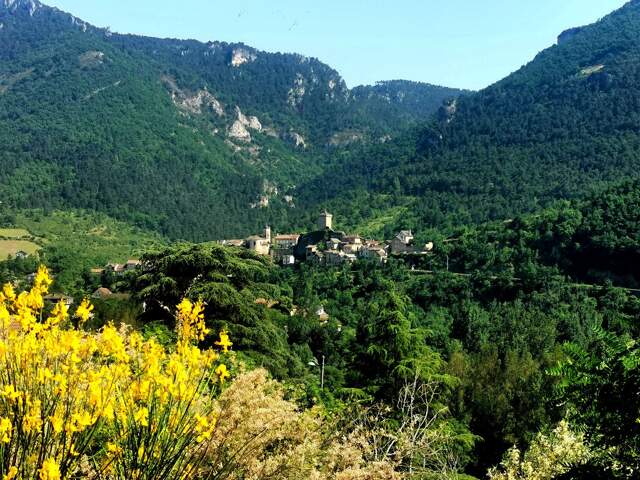 Terrain — photo du bien